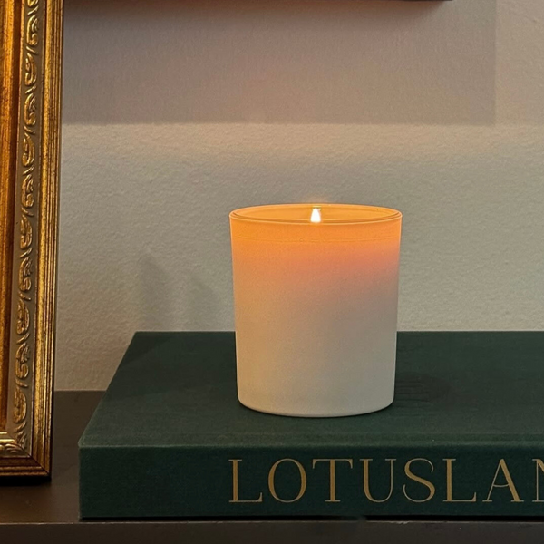 inscentive x blended tea gift box