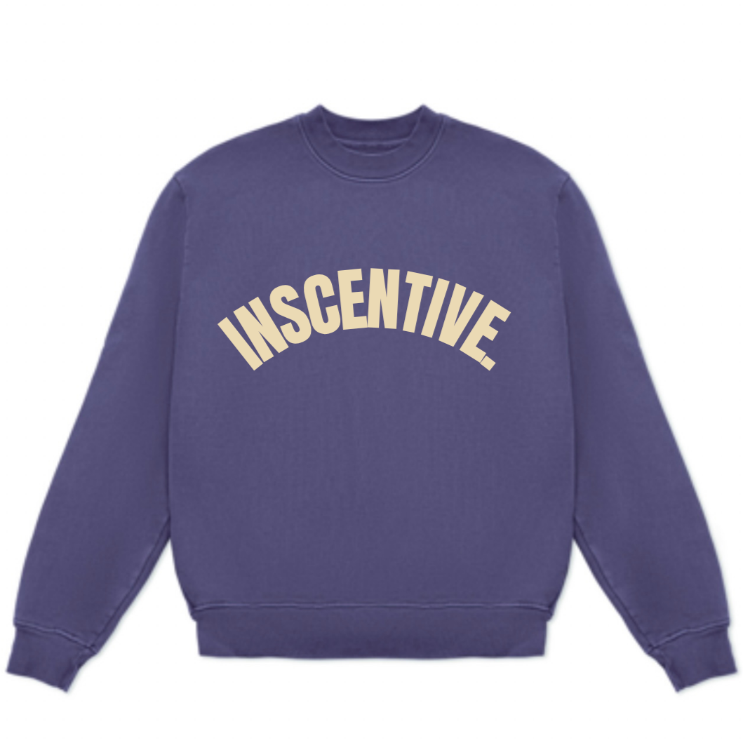 Purple sweatshirt with 'INCENTIVE' text on a white background